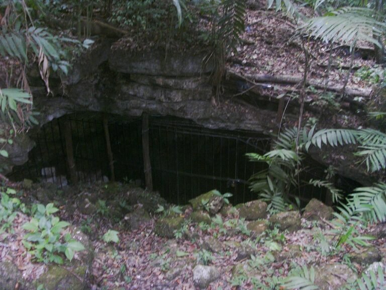 Chopped-up human remains in Guatemala’s ‘blood cave’ reveal ancient Maya sacrificial rituals