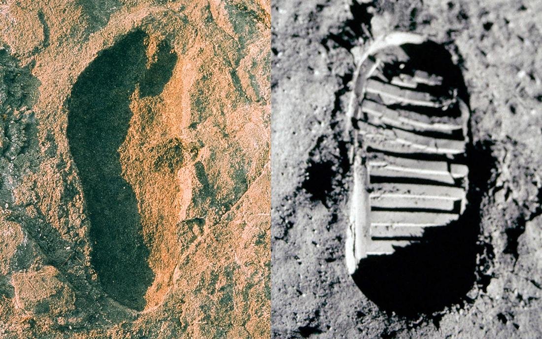 On 20 July 1969, Neal Armstrong took a small step on the moon, ~4 million years after early hominids gave bipedalism a shot