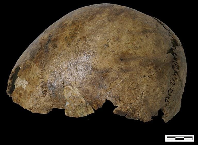 Archaeologists solve mystery of puzzling skeleton made from bones of 5 people found in Belgium